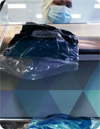 Our services in rental & processing