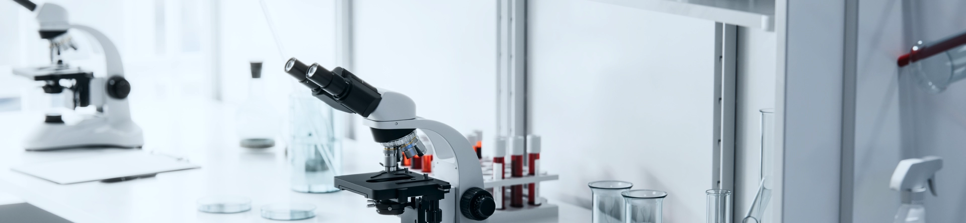 Rental and Processing